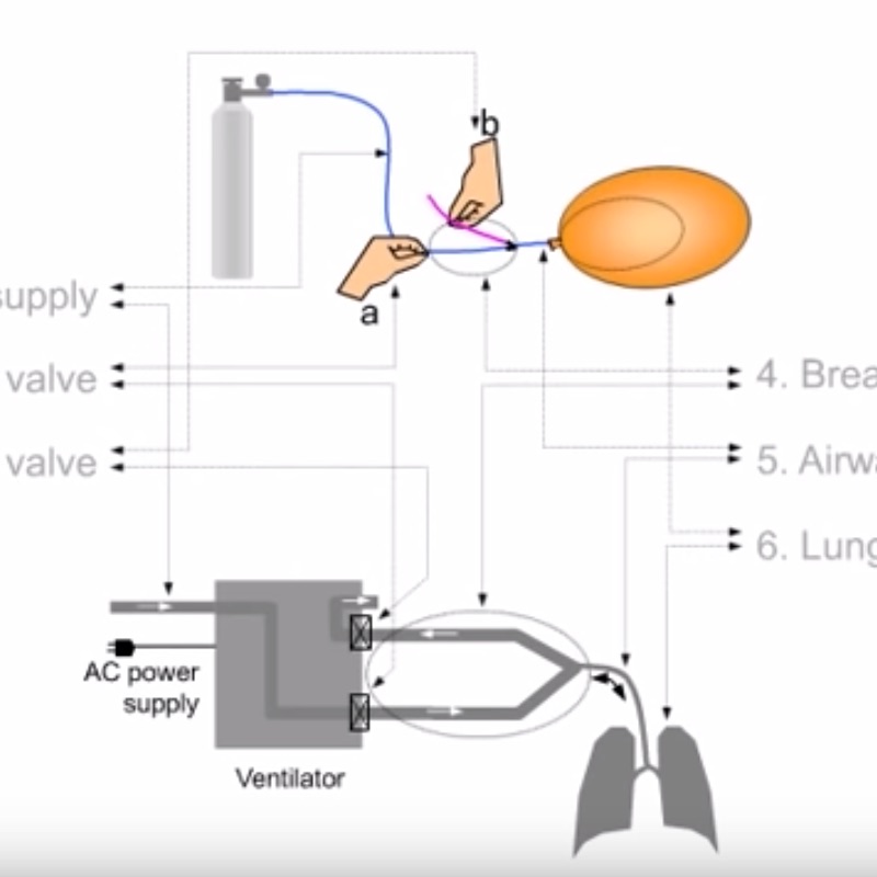 Screen_Shot_2020-03-30_at_11_42_26_PM Screen_Shot_2020-03-30_at_11_42_26_PM